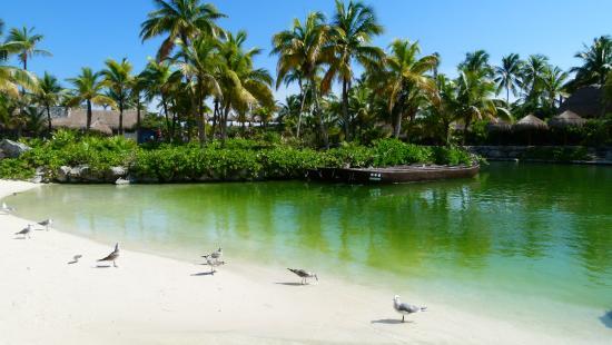 Centro Ecologico Akumal